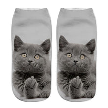 Load image into Gallery viewer, 1Pair Women Sport Socks 3D Print Cat Unisex Low Cut Ankle Socks Sports Cycling Sock