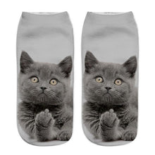 Load image into Gallery viewer, 1Pair Women Sport Socks 3D Print Cat Unisex Low Cut Ankle Socks Sports Cycling Sock